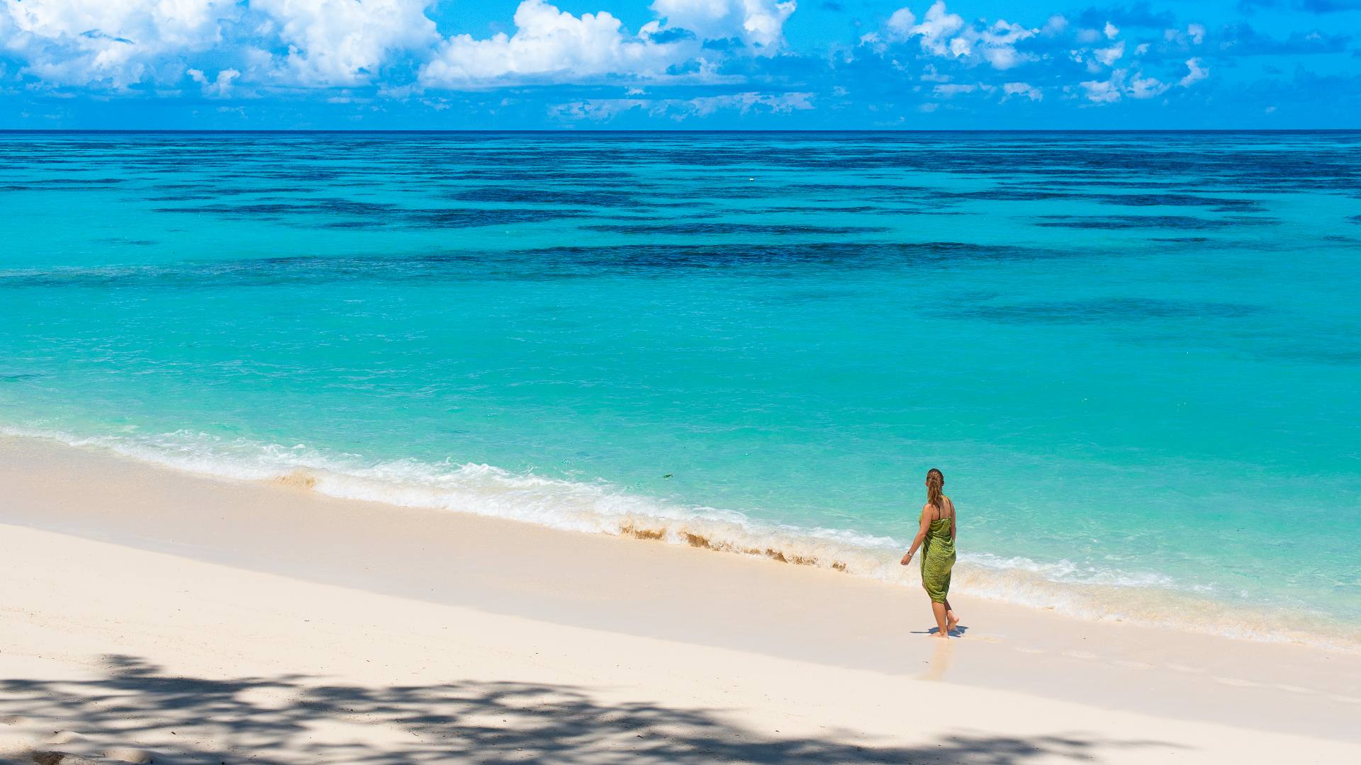seychellerne denis island denis private island kysten resort