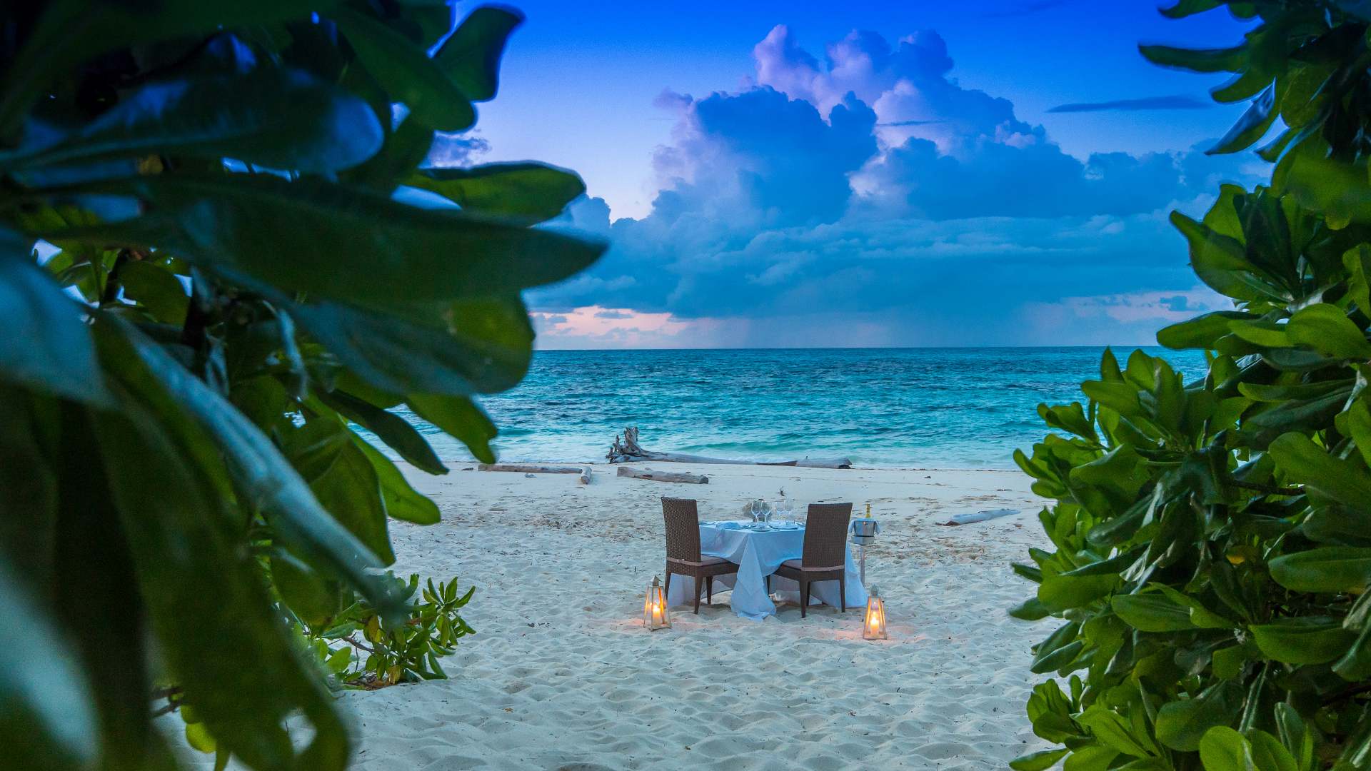 seychellerne denis island denis private island private dinner beach resort