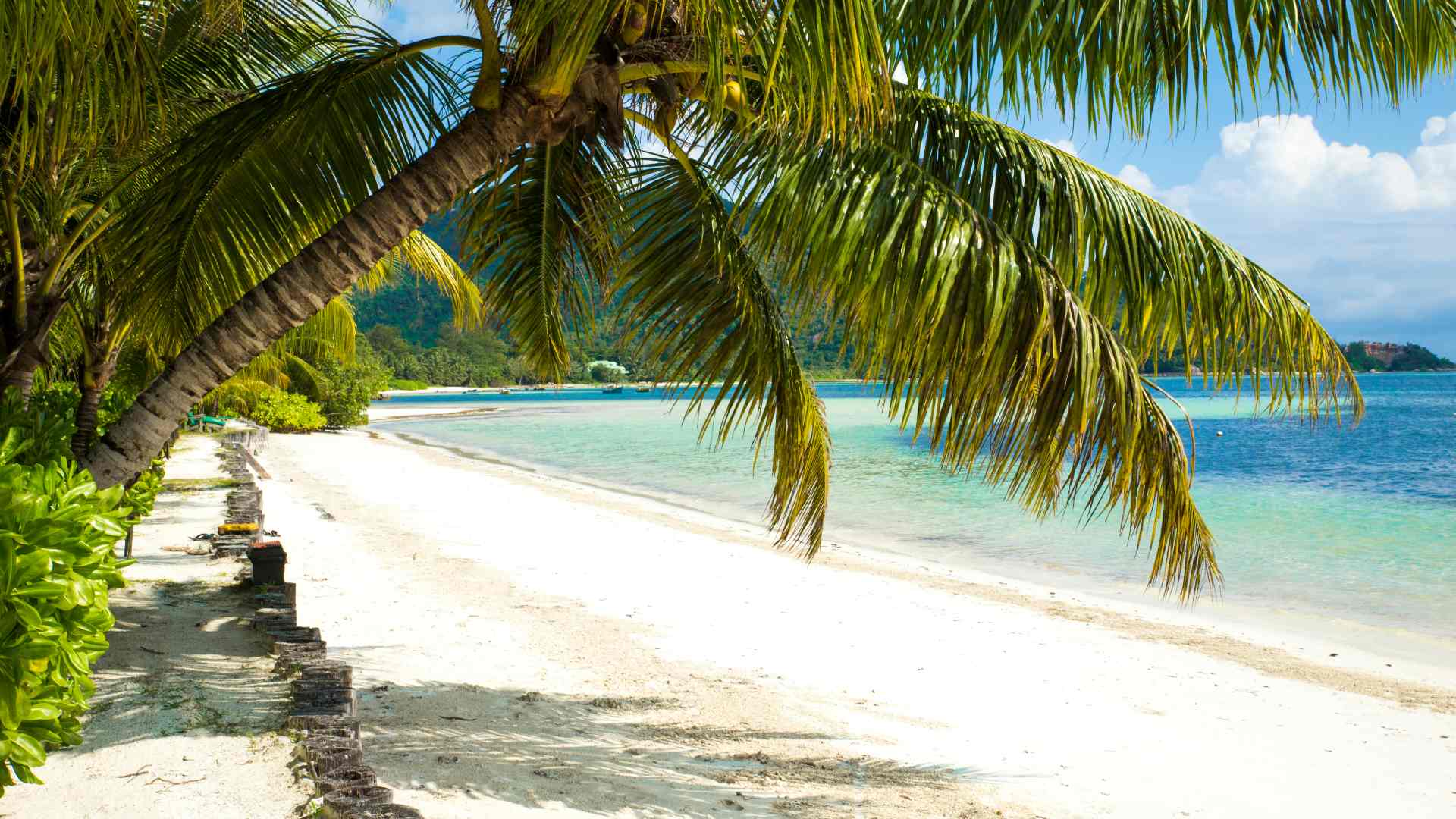 seychellerne praslin indian ocean stranden lodge