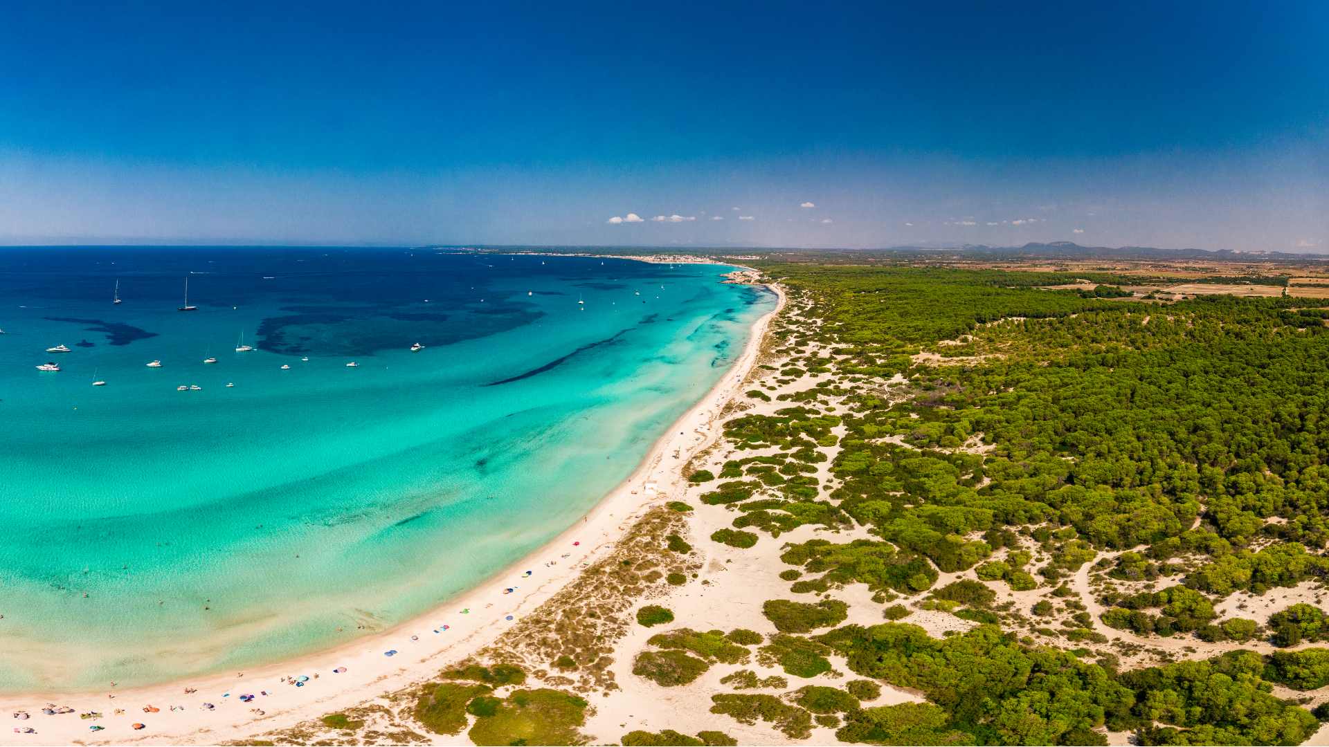 Rejser til Spanien Mallorca, Fontsanta Termal Spa & Wellness, beach view