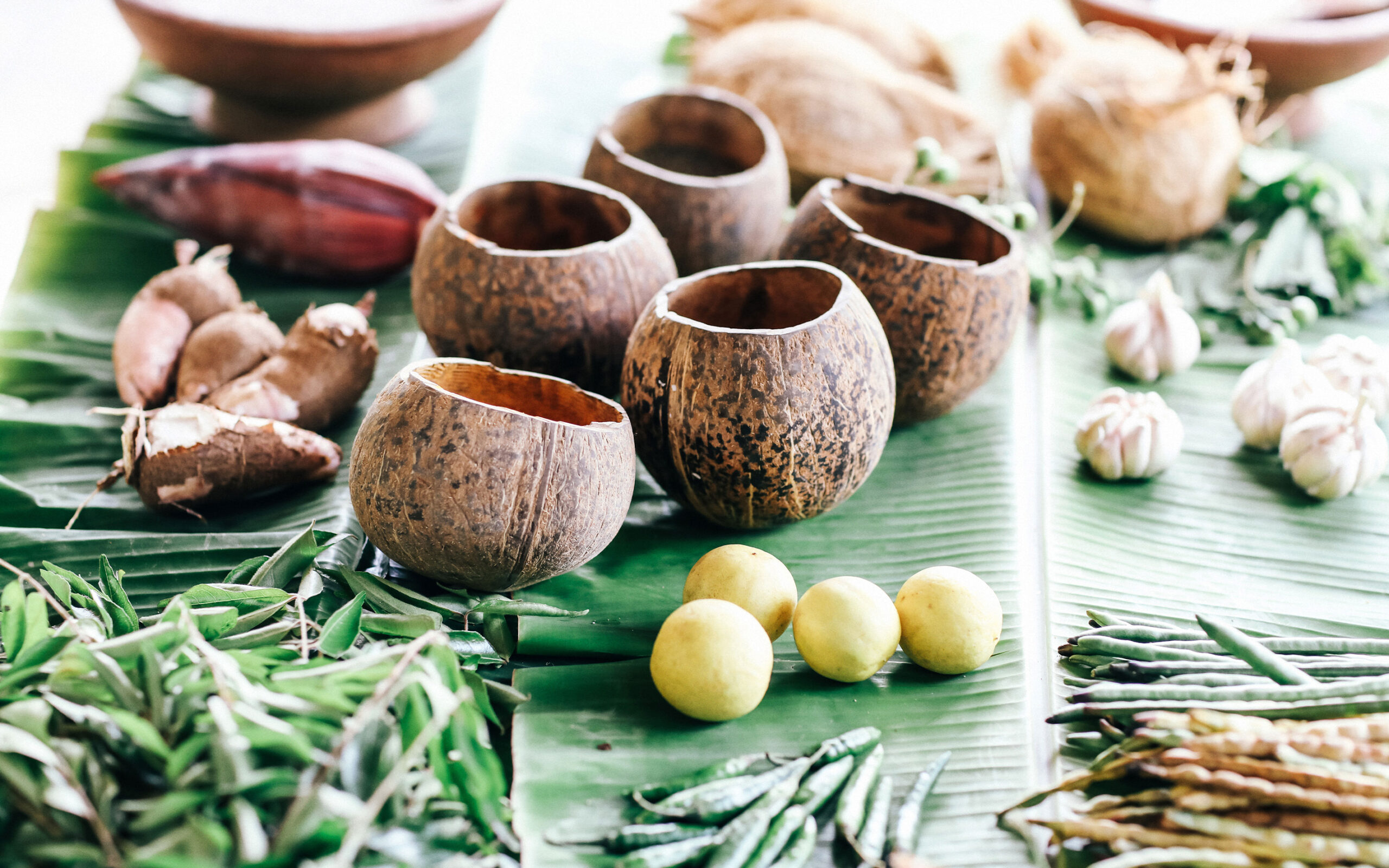 Sri Lanka Gal Oya Lodge Lokale Raavarer