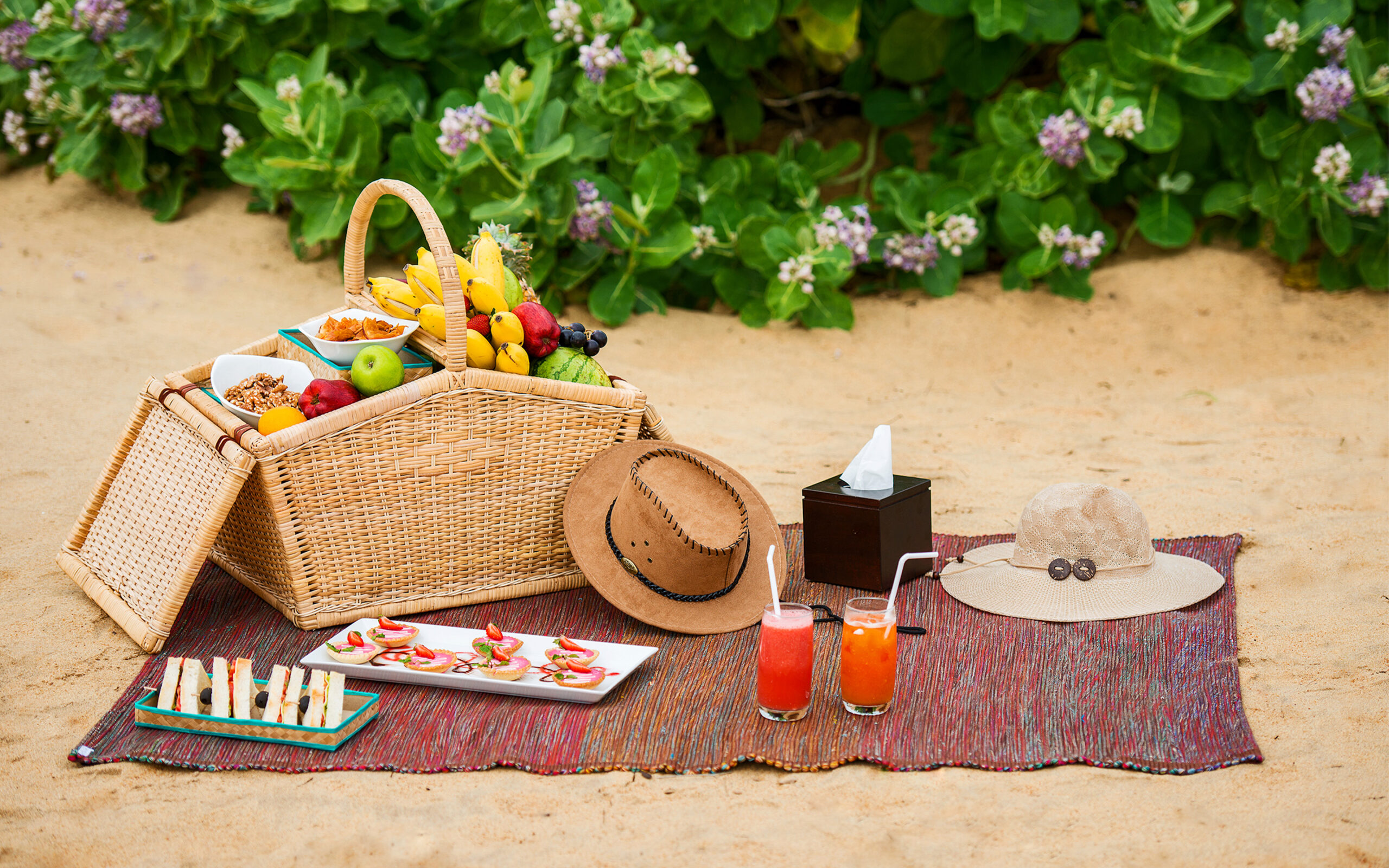 Sri Lanka Uga Chena Huts Picnic