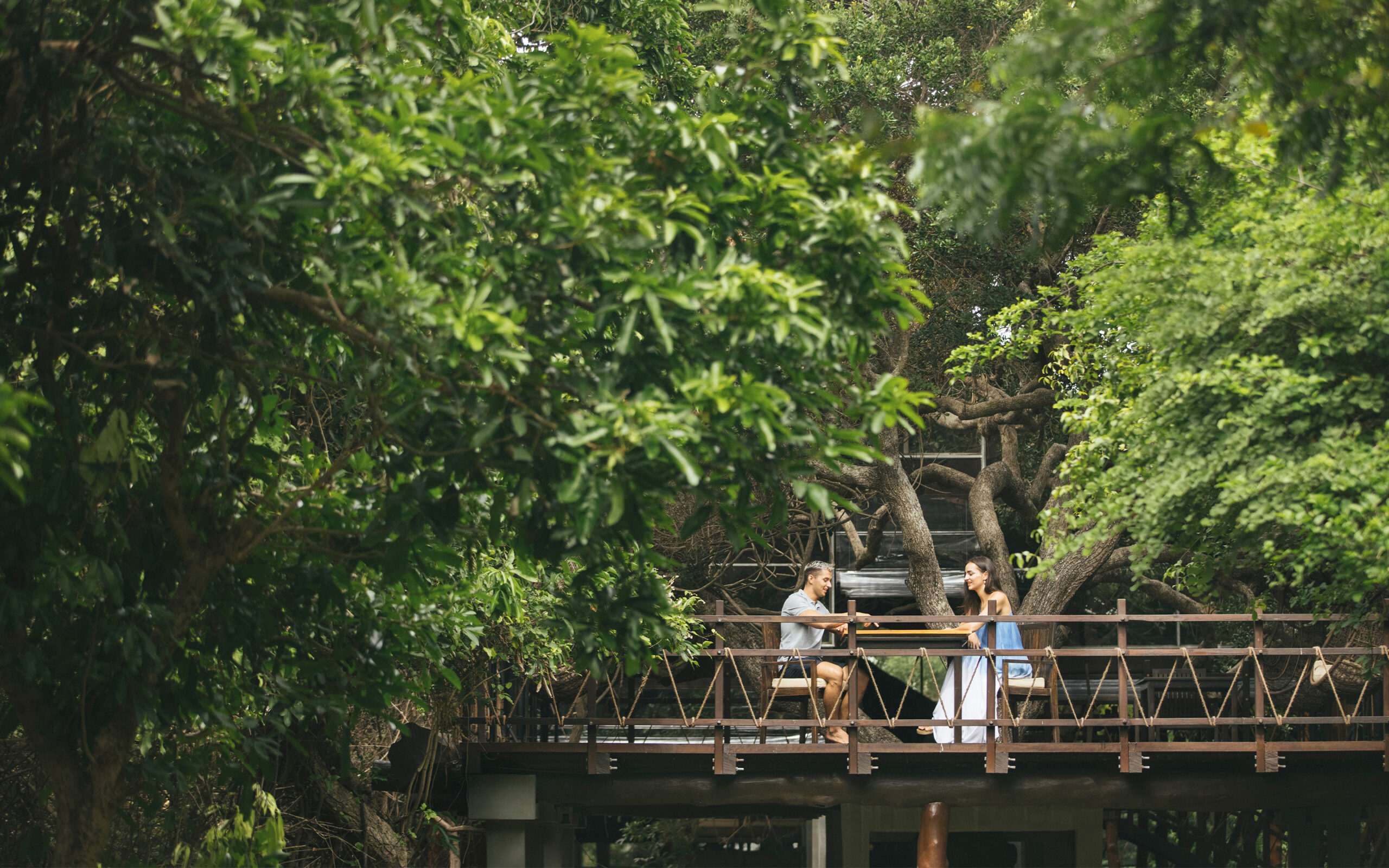 Sri Lanka Uga Jungle Beach Tree Top