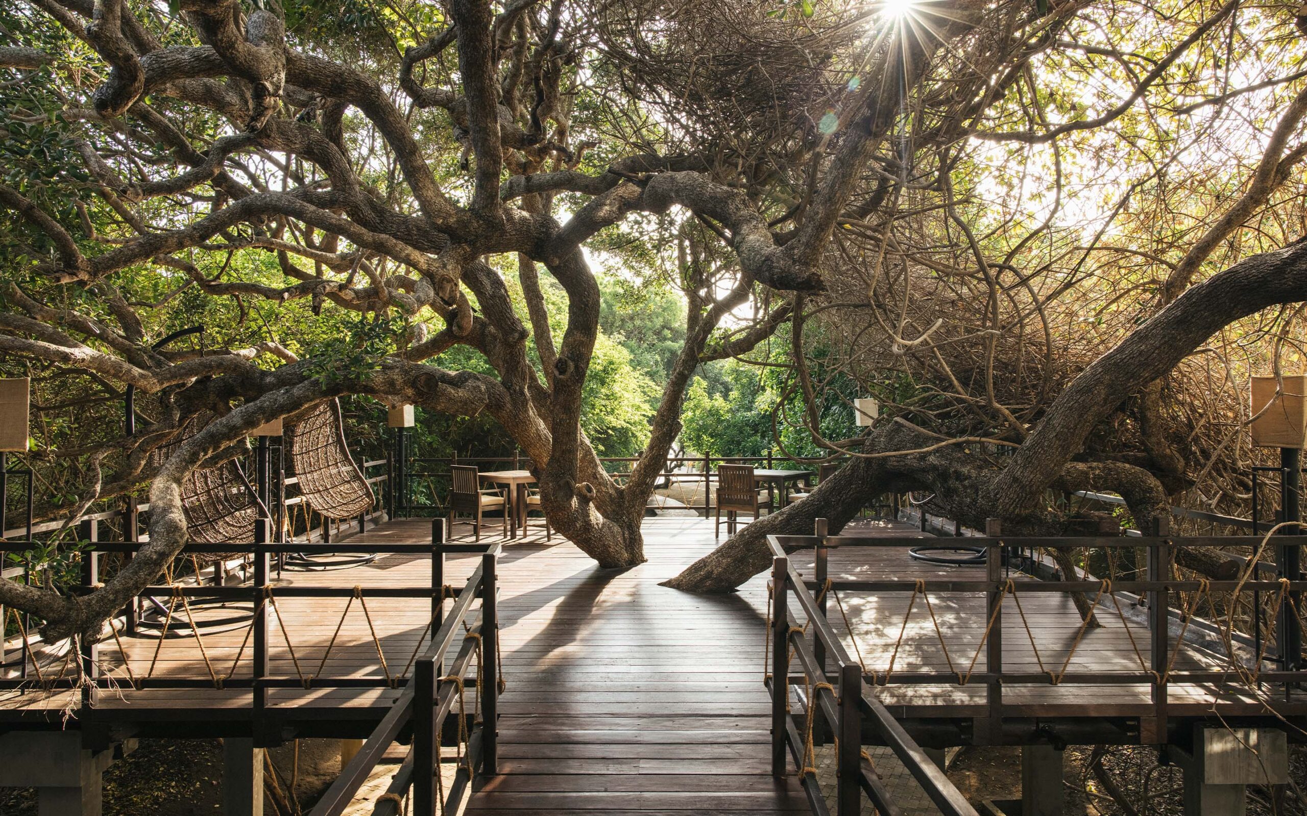 Sri Lanka Uga Jungle Beach Treetop Afslapning