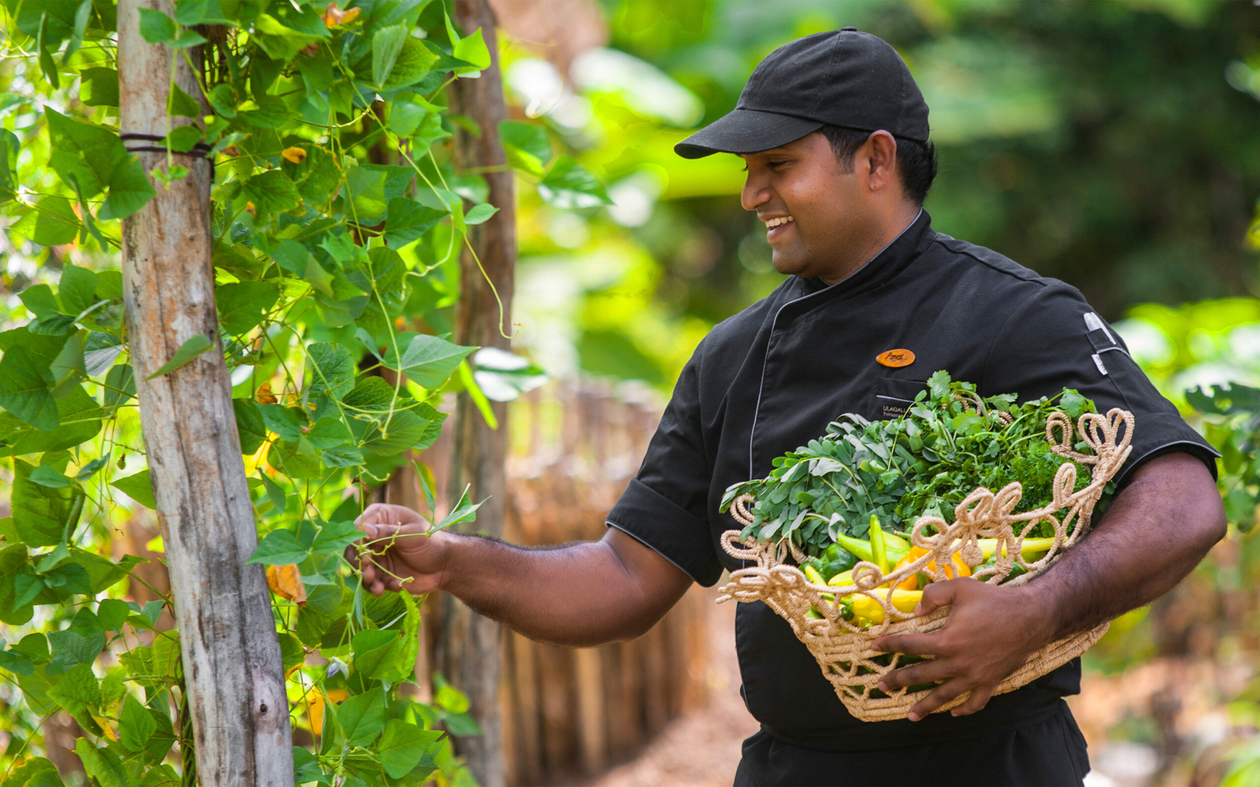 Sri Lanka Uga Ulagalla Organiske Have