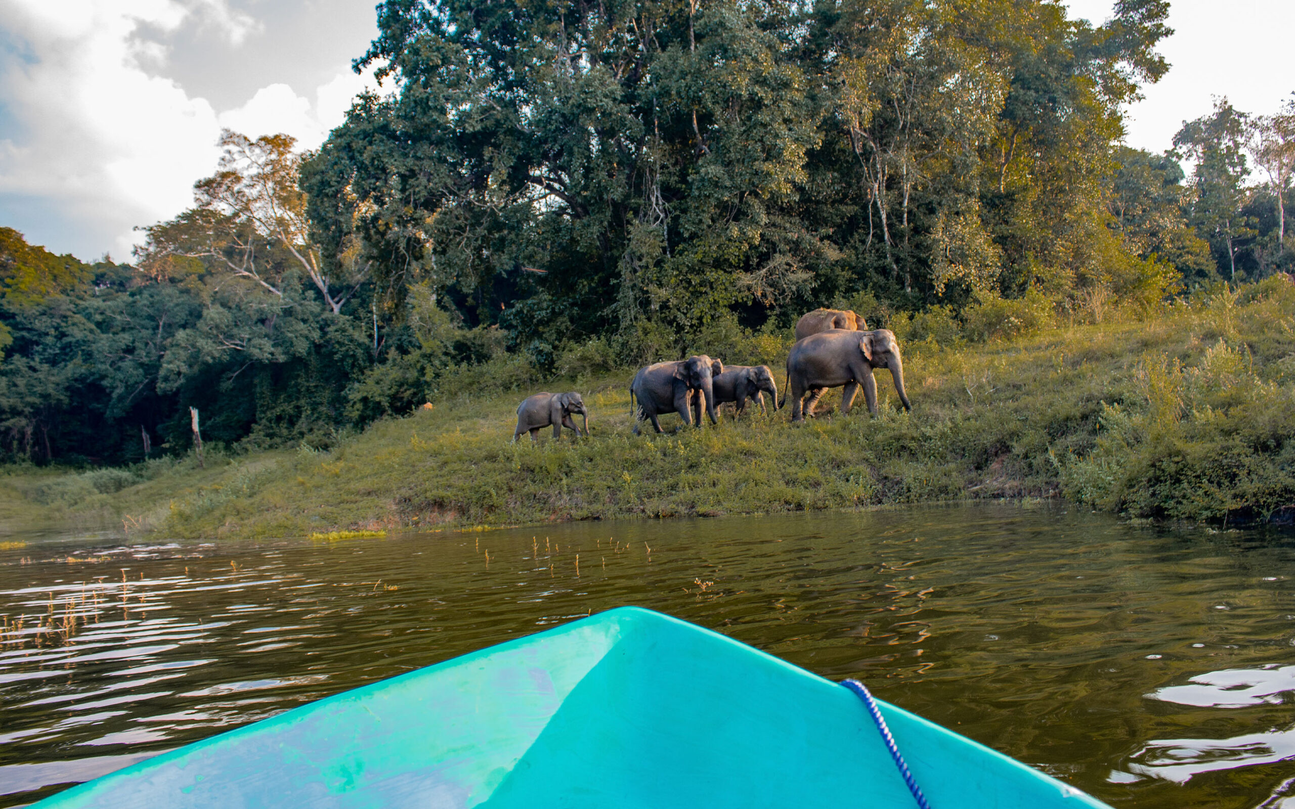 Sri Lanka Wild Glamping Gal Oya Baad Safari