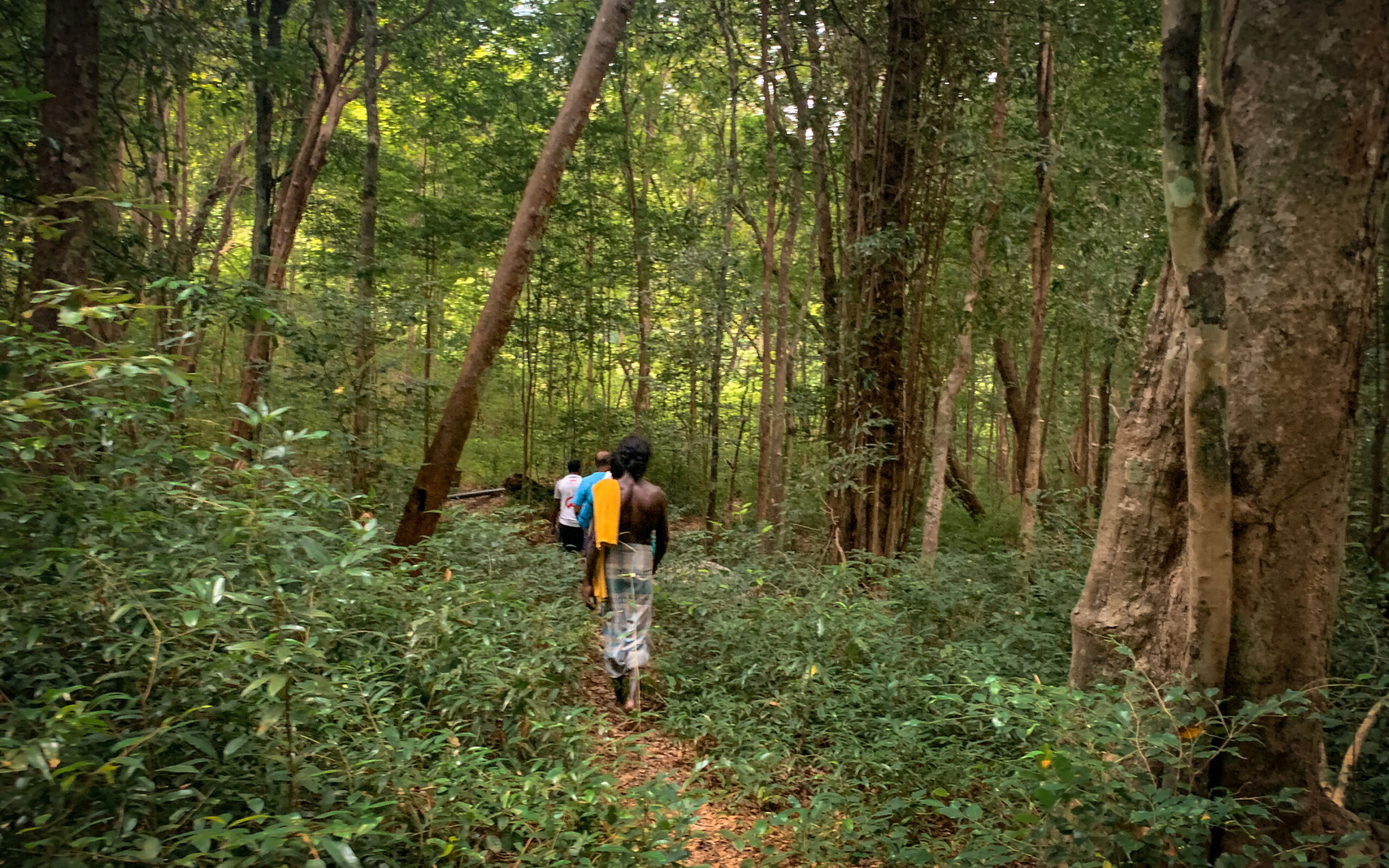 Sri Lanka Wild Glamping Gal Oya Jungletrek Med Veddah