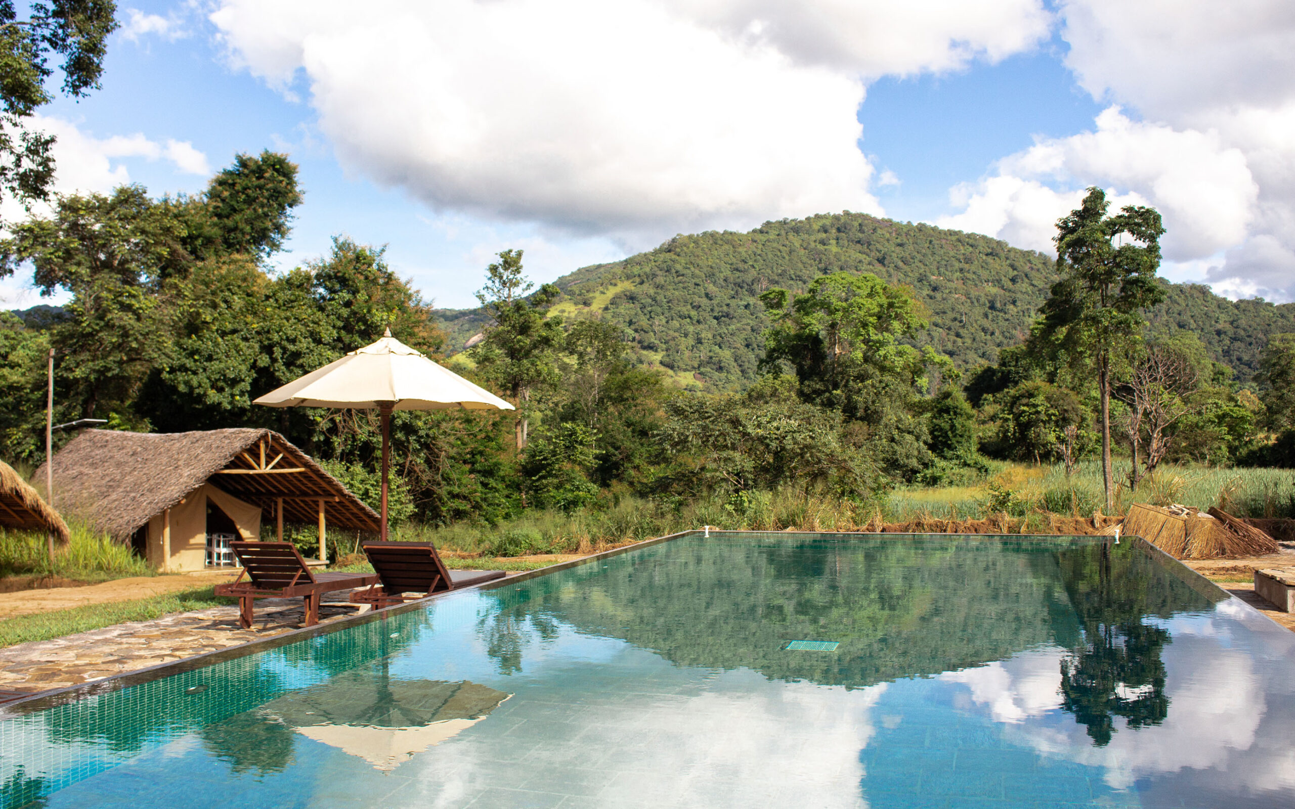 Sri Lanka Wild Glamping Gal Oya Pool Udsigt