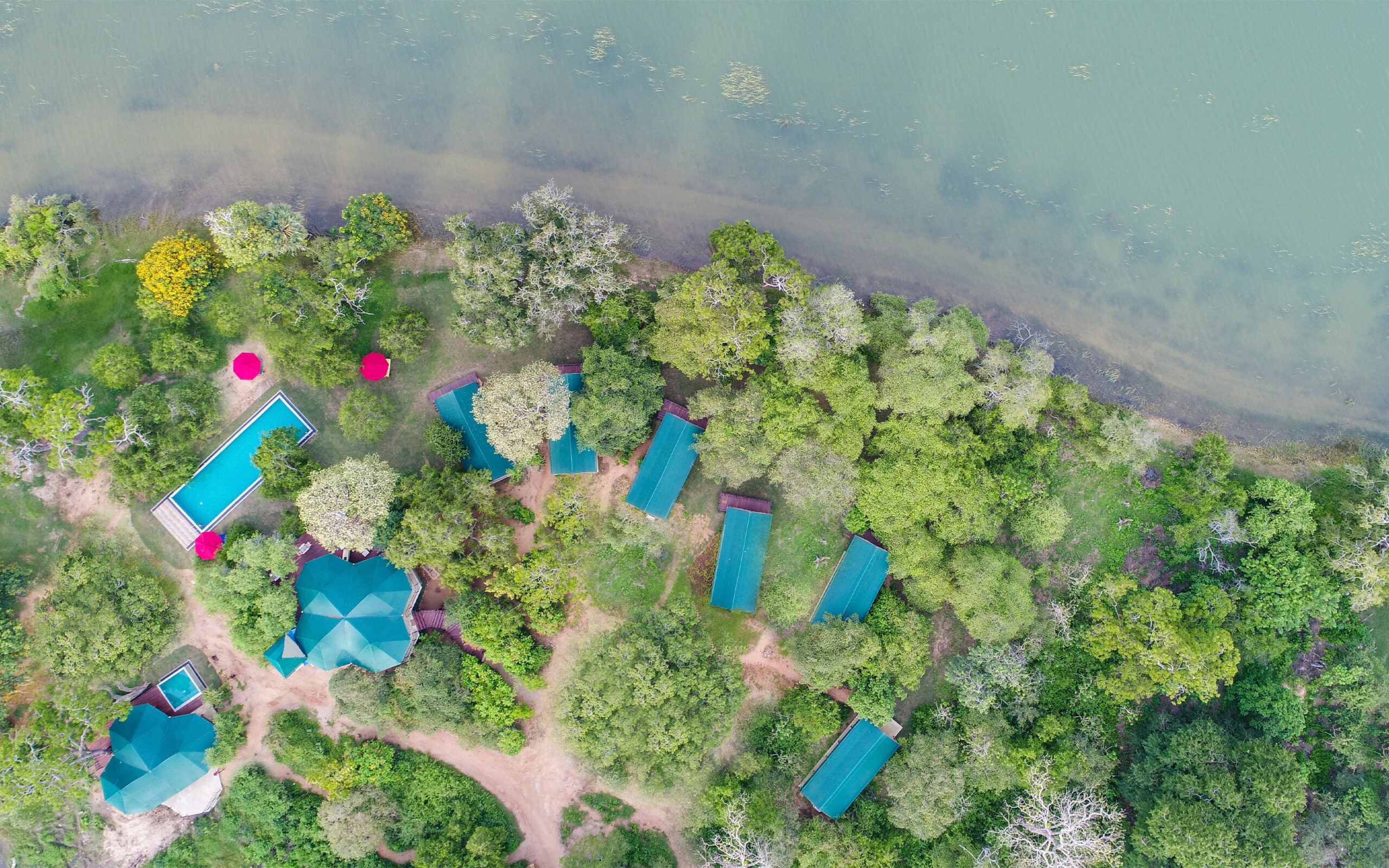 Sri Lanka Yala Flameback Eco Lodge Bird Eye Med Pool