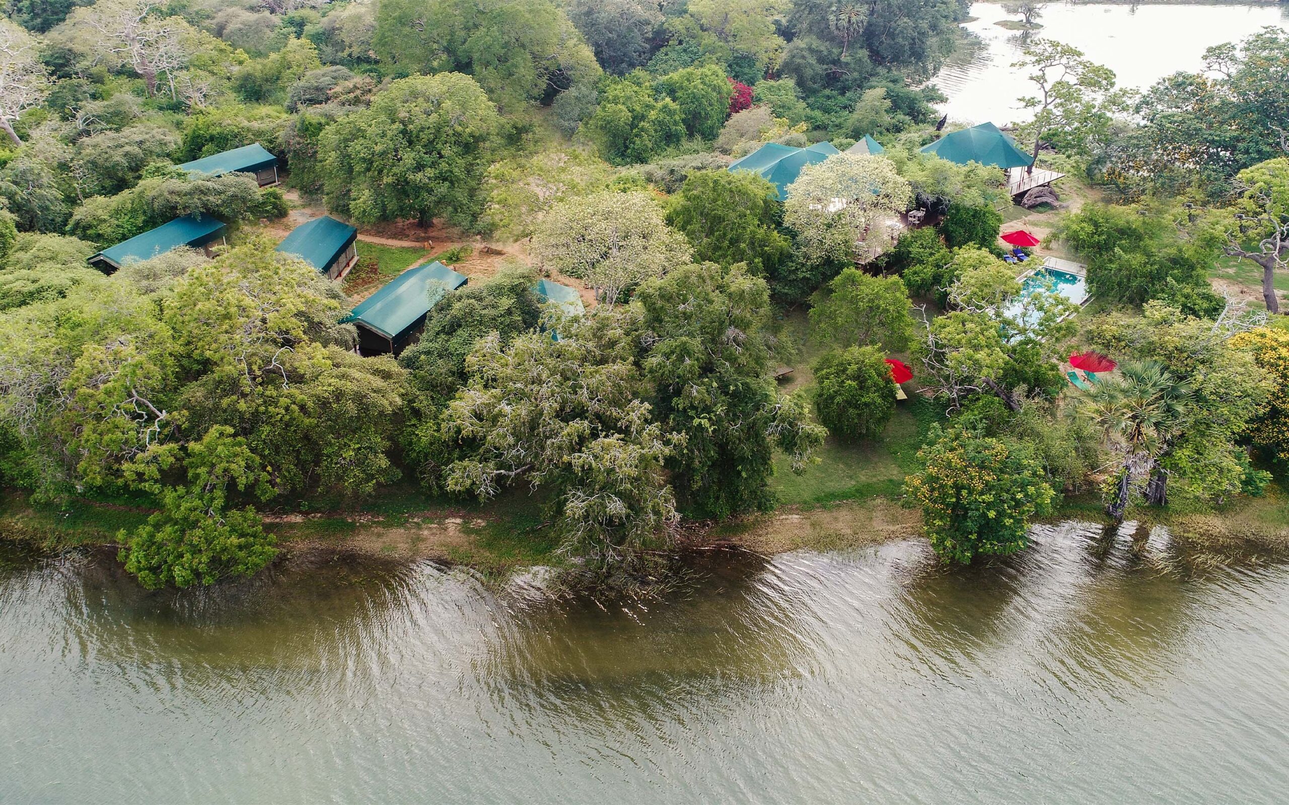 Sri Lanka Yala Flameback Eco Lodge Overview