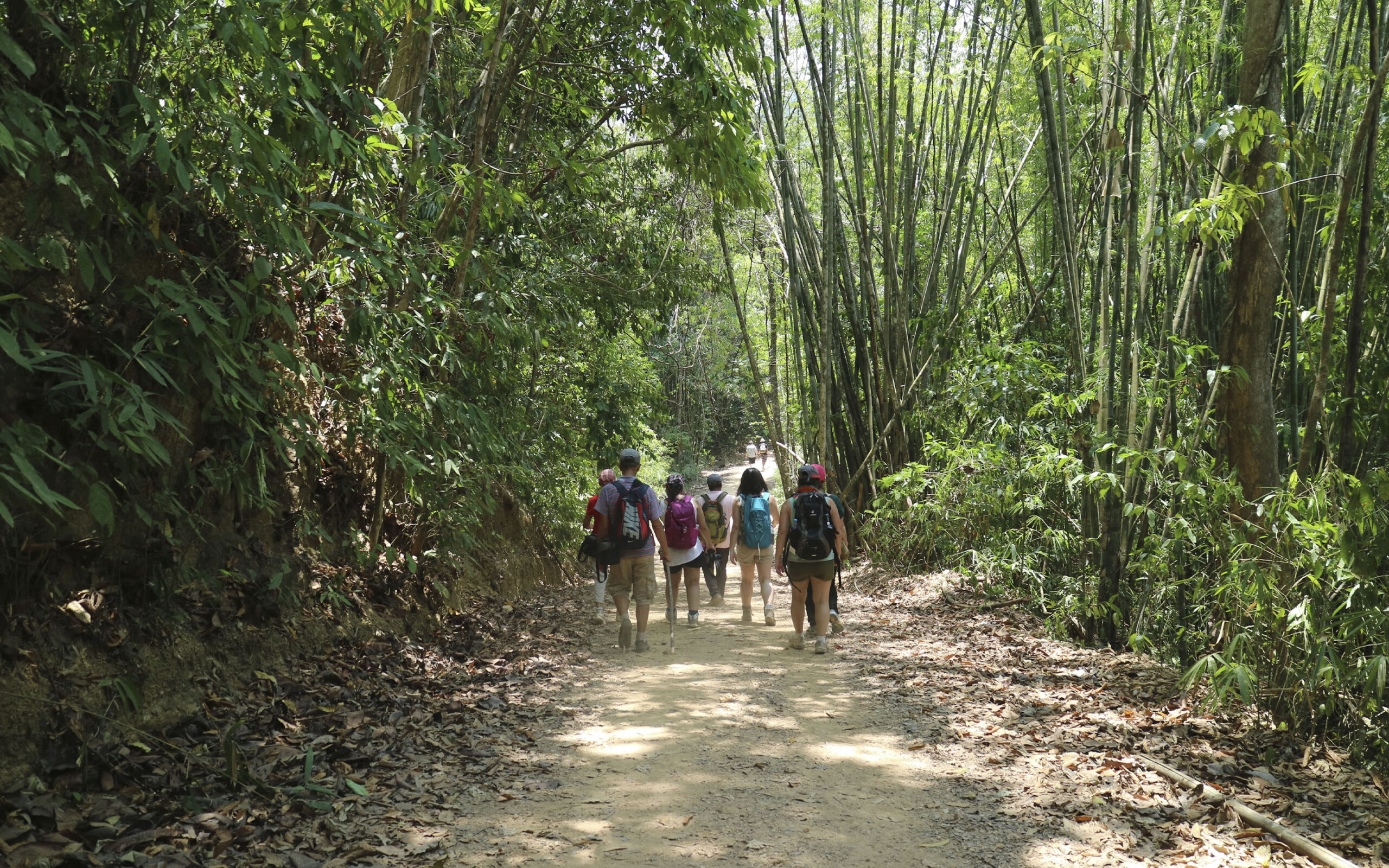 Thailand Khao Sok Anurak Community Lodge Hiking