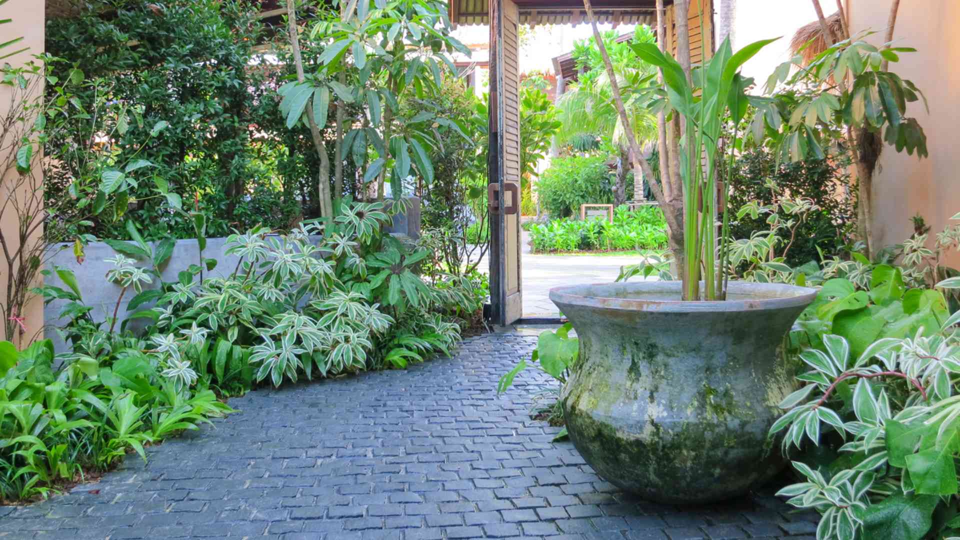 Thailand, Koh Phangan, Buri Rasa Village Koh Phangan, Have Omr&aring;de
