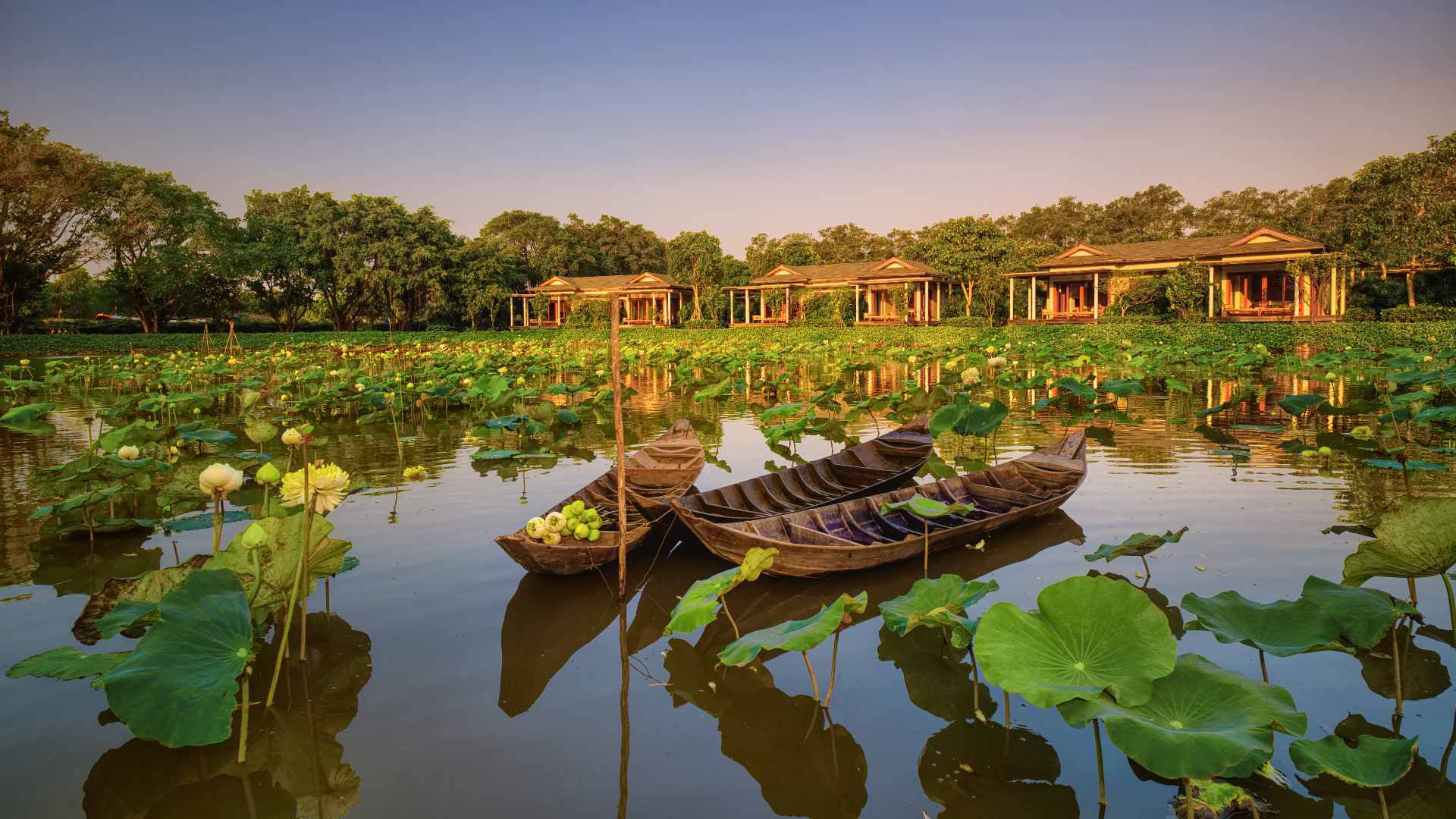 vietnam mekong delta