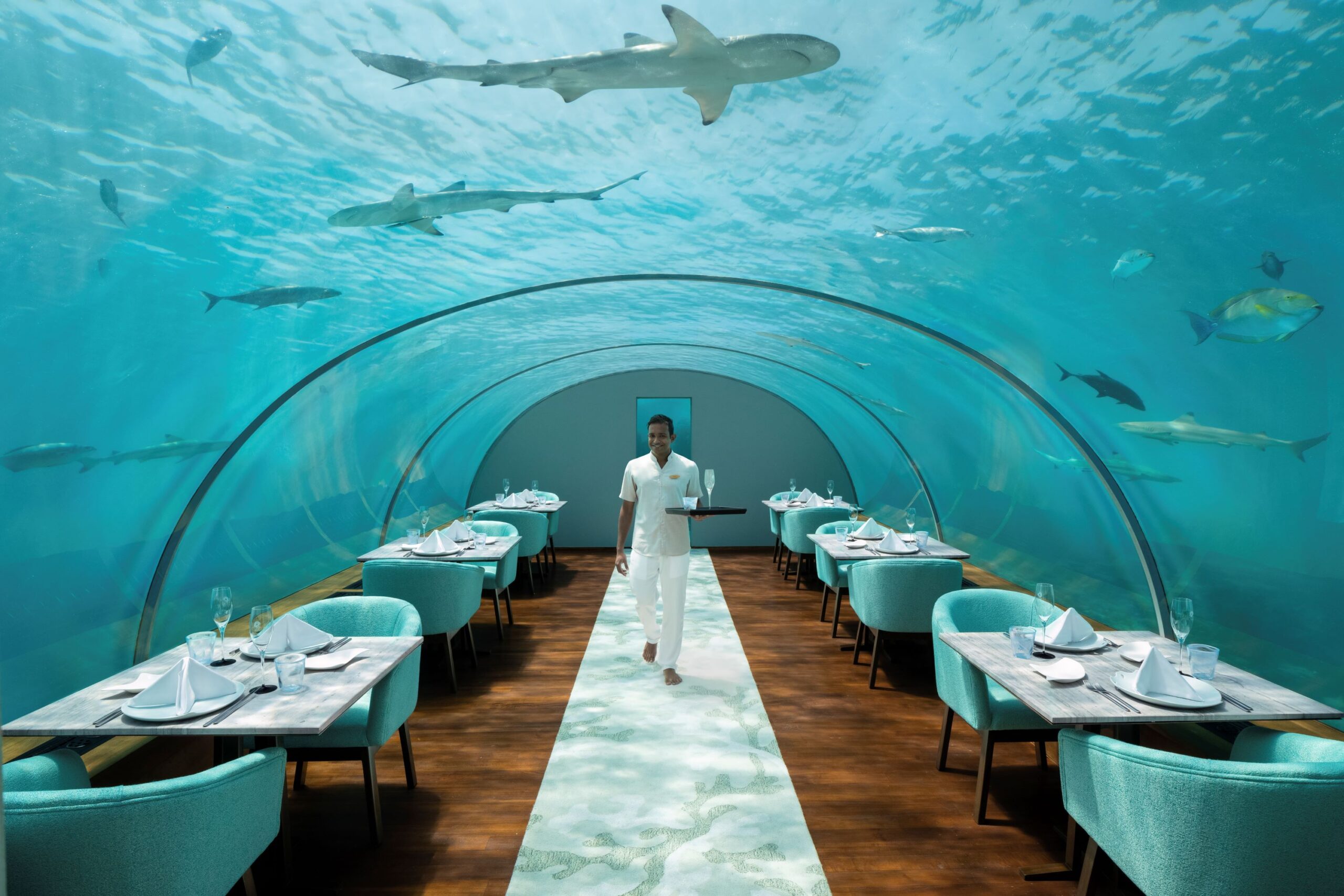 maldiverne conrad maldives rangali iisland ithaa undersea restaurant scaled