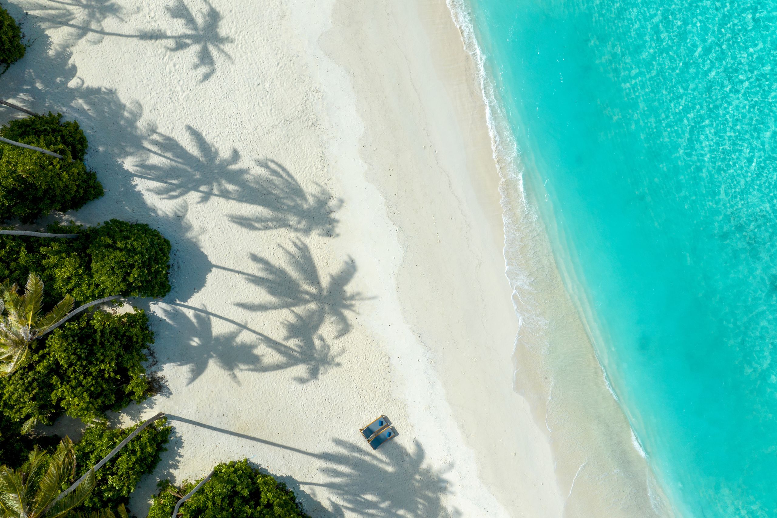 maldiverne avani plus fares beach pool villa sydvest strand