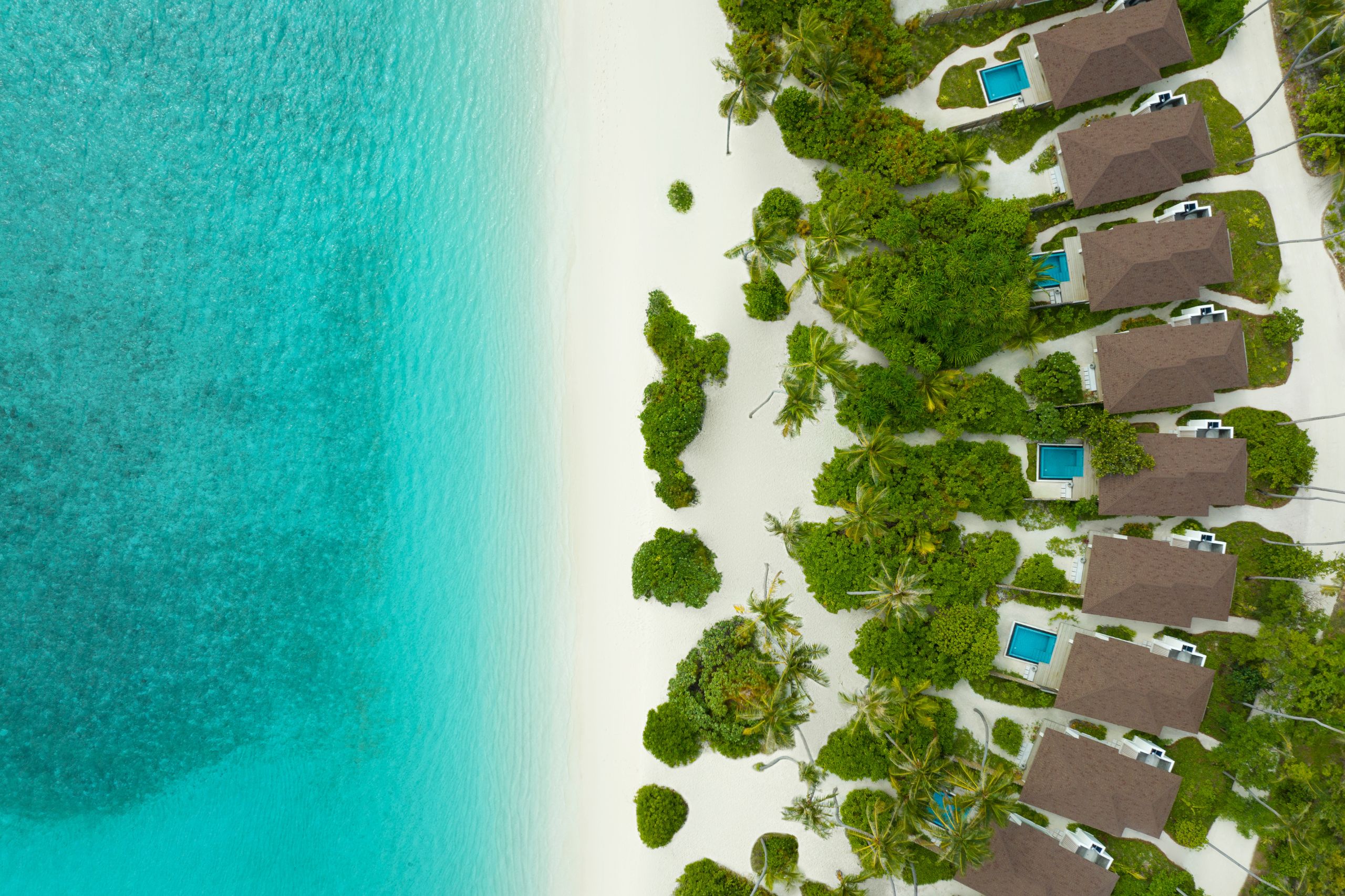 maldiverne-avani-plus-fares-beach-villas-og-beach-pool-villas