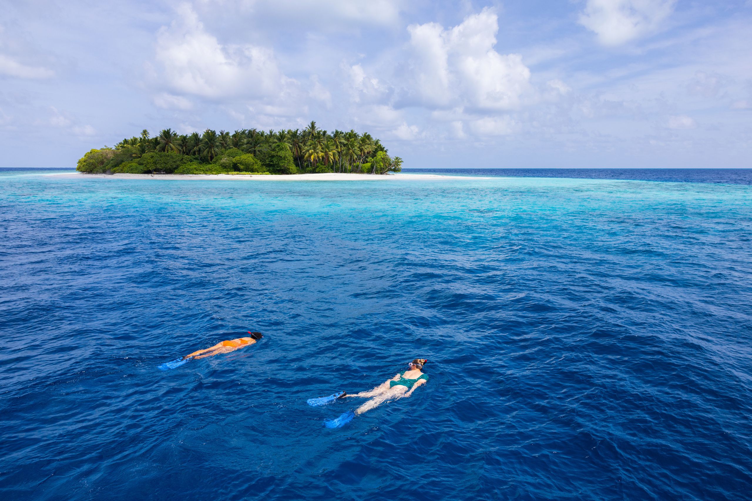 maldiverne avani plus fares snorkeling hoholha island