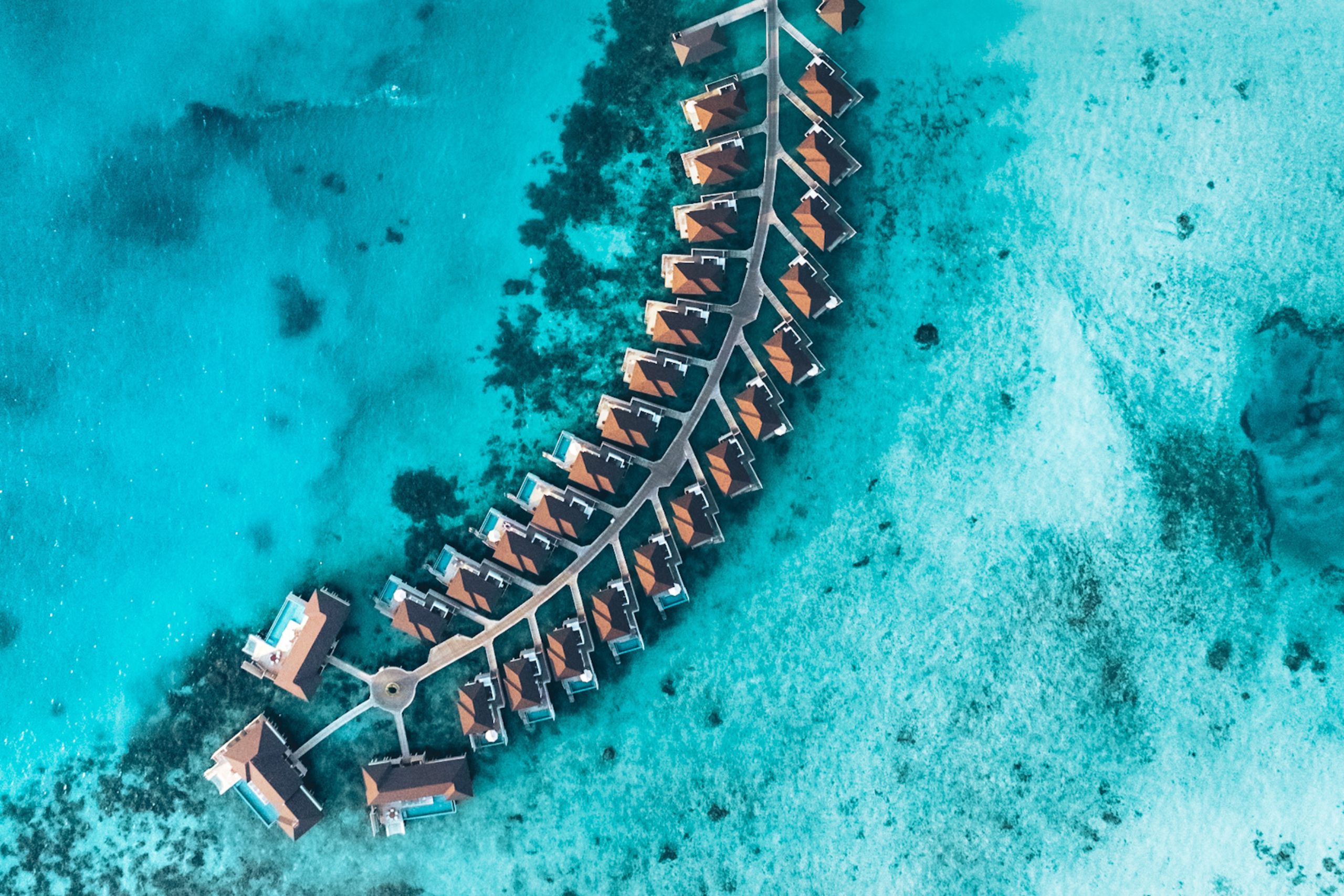 maldiverne avani plus top photo